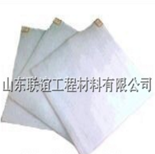 復(fù)合土工膜