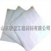 復(fù)合土工膜