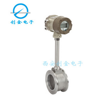 智能帶顯示渦街流量計