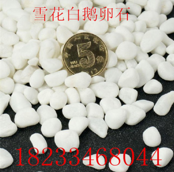 白色洗米石 水洗石 黑黃紅五彩石膠粘石園林景觀鋪地小石子