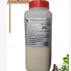 環(huán)氧膠黏劑廠家 環(huán)氧膠粘劑廠家 批發(fā) 零售 全國發(fā)貨