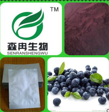 藍(lán)莓提取物 越橘提取物10:1 藍(lán)莓粉 品質(zhì)保證廠家熱銷