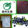 藍莓提取物 越橘提取物10:1 藍莓粉 品質(zhì)保證廠家熱銷