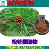 松針提取物 花青素95% 松葉提取物 森冉生物廠家熱銷