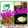 中藥提取鎖陽堿98%/鎖陽提取物/鎖陽生物堿 泡酒專用提取原料