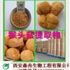 猴頭菇多糖30%/猴頭菇提取物 天然真菌提取原料熱銷