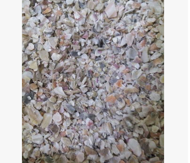 貝殼粉
