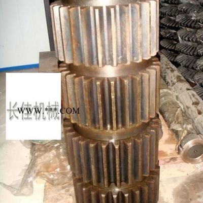 河南供應(yīng)長(zhǎng)佳/型號(hào)齊全雷蒙磨配件3016洗砂機(jī)小齒輪