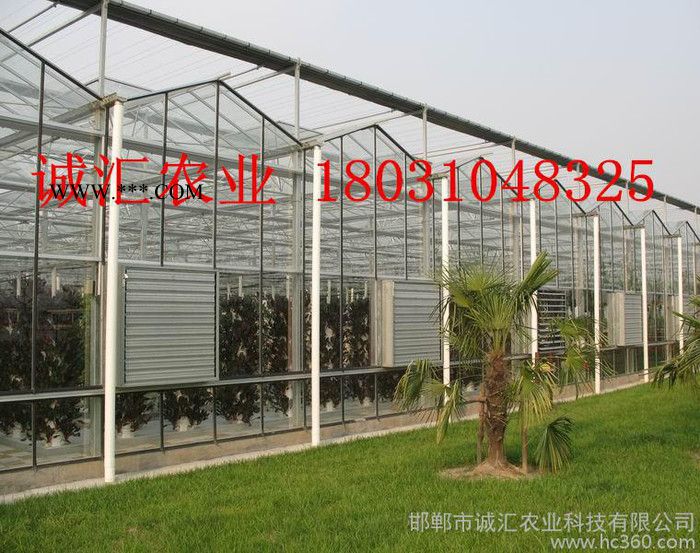 供應 玻璃溫室四周中空玻璃+陽光板頂 壽命長的溫室