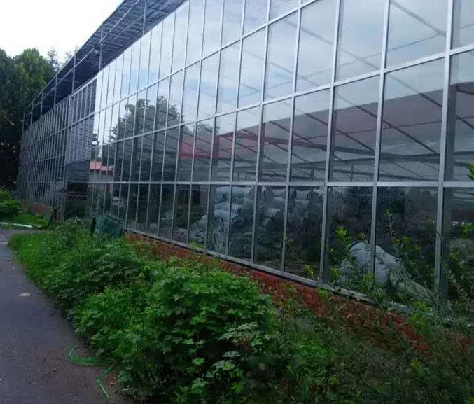玻璃溫室 薄膜溫室 江西溫室 中空玻璃溫室  溫室設(shè)計