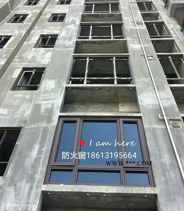 威雅 防火窗 廣東實(shí)力廠家鋼質(zhì)防火窗 廣東**品牌防火門廠家 平開式防火玻璃窗 固定式防火玻璃窗 推拉式防火玻璃窗