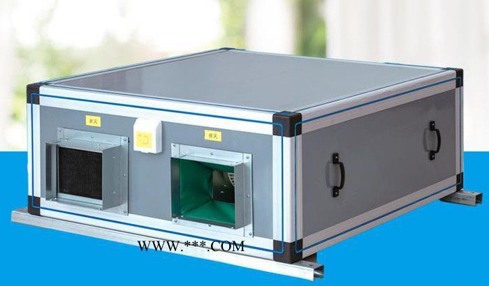 德鄰鋼化玻璃新風機組 新風換氣機