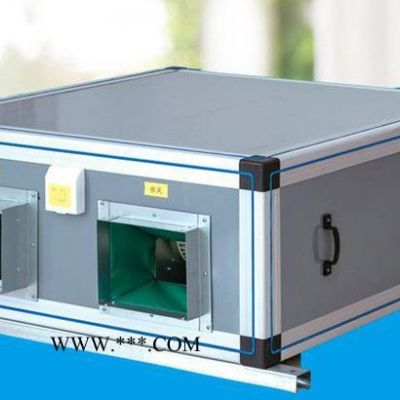德鄰鋼化玻璃新風(fēng)機組 新風(fēng)換氣機