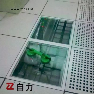 自力牌 全鋼活動(dòng)地板鋼化玻璃活動(dòng)地板玻璃地板600*600*30/35mm 防靜電地板