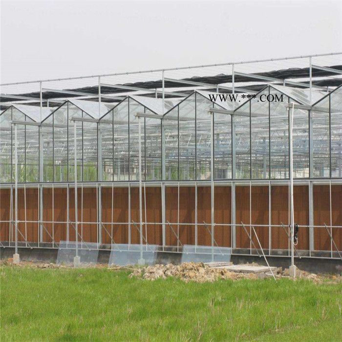 冬暖式玻璃溫室建設(shè) 新型玻璃溫室大棚 文洛玻璃溫室養(yǎng)殖大棚