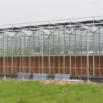 冬暖式玻璃溫室建設(shè) 新型玻璃溫室大棚 文洛玻璃溫室養(yǎng)殖大棚