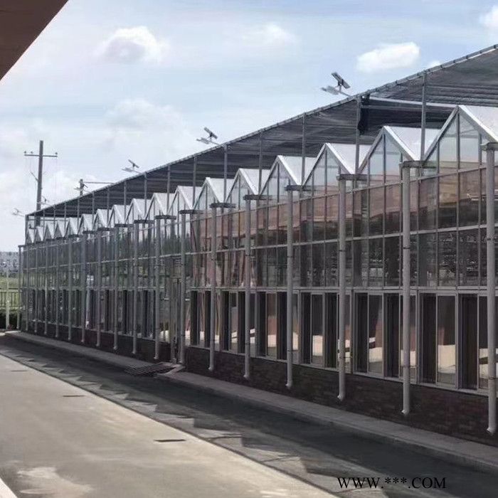 鼎榮型號齊全 玻璃溫室建設 智能玻璃溫室 玻璃溫室大棚 天津玻璃溫室
