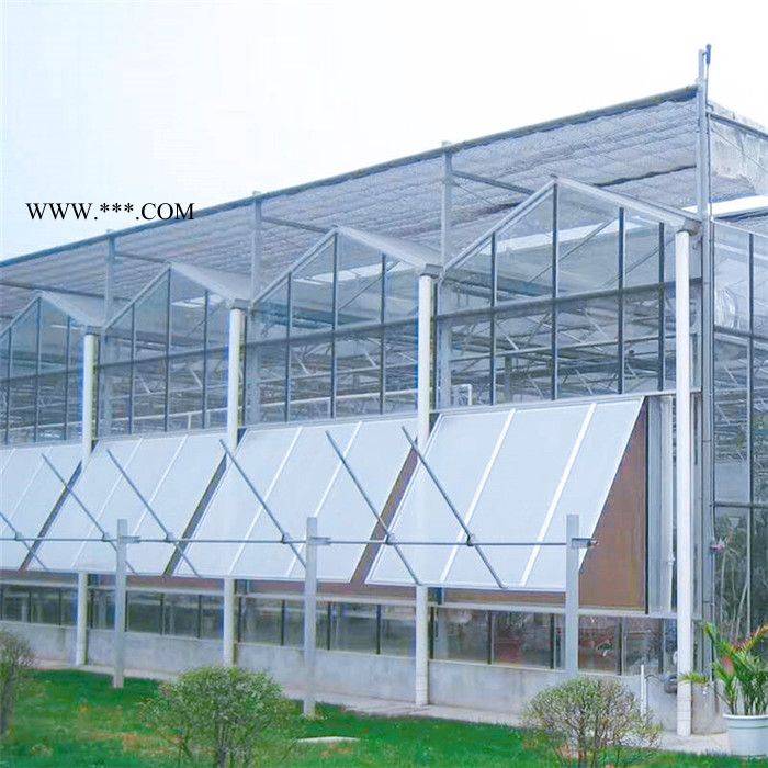 生態(tài)玻璃大棚建造 花卉玻璃溫室大棚承建 齊陽(yáng)玻璃溫室