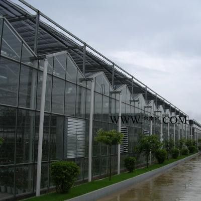 山東大楚溫室玻璃溫室大棚玻璃溫室玻璃溫室工程智能玻璃溫室