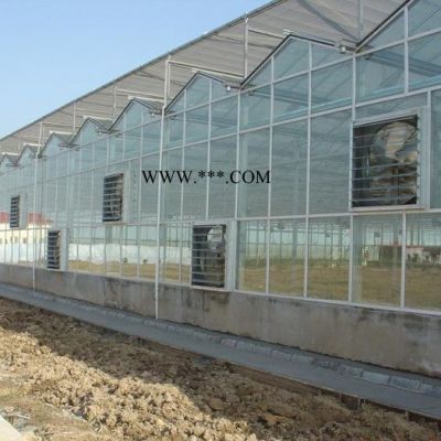 山東玻璃溫室公司 連棟玻璃溫室搭建 玻璃溫室設(shè)計安裝