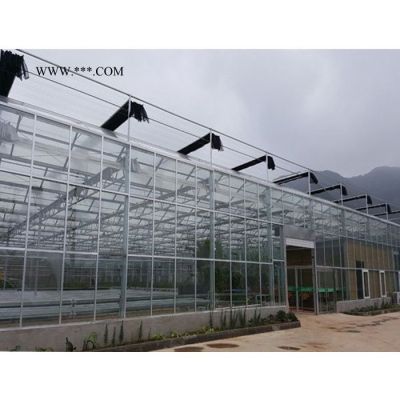 玻璃溫室 玻璃大棚 搭建蔬菜玻璃溫室 建造廠家