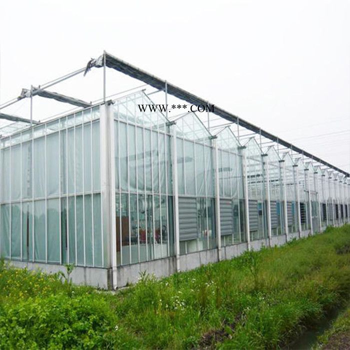 玻璃溫室價格 承建玻璃大棚 建設(shè)玻璃溫室大棚