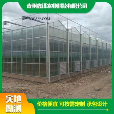 玻璃大棚 鑫澤農(nóng)業(yè) 連棟玻璃大棚 智能玻璃大棚