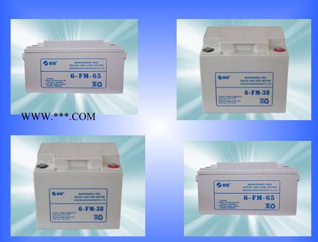 M.SUN蓄電池6-GFM-24美陽蓄電池12V24AH閥控密封式鉛酸蓄電池 UPS蓄電池 EPS直流屏電池通訊系統(tǒng)