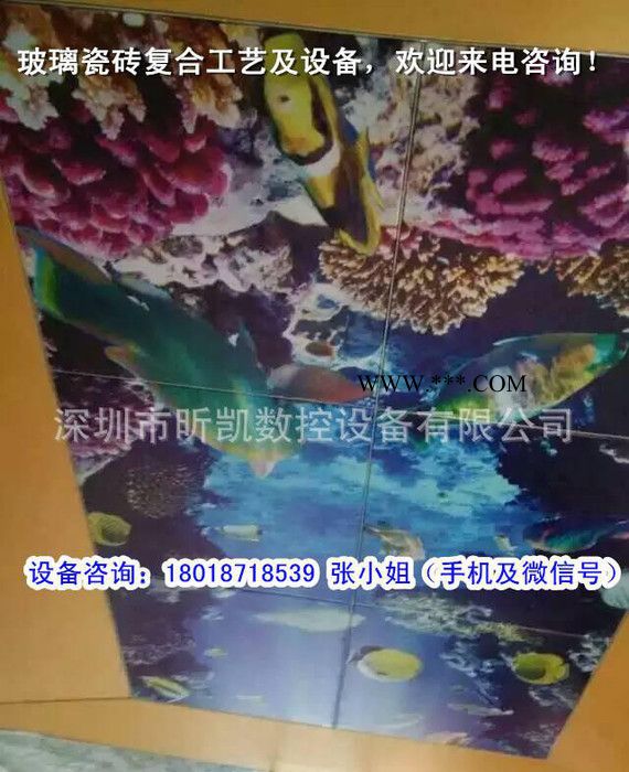 微晶夾膠玻璃復(fù)合機(jī) 陶瓷3D背景墻夾膠復(fù)合機(jī)技術(shù)指導(dǎo)
