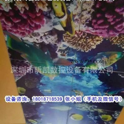 微晶夾膠玻璃復(fù)合機(jī) 陶瓷3D背景墻夾膠復(fù)合機(jī)技術(shù)指導(dǎo)
