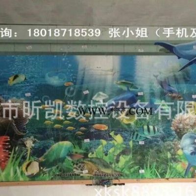 深圳夾層玻璃復(fù)合設(shè)備 深圳直銷 玻璃夾層設(shè)備