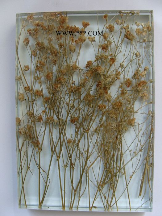 旭日梅蘭濕法夾膠玻璃zw-002-3植物夾膠玻璃酒店室內(nèi)裝飾藝術(shù)玻璃