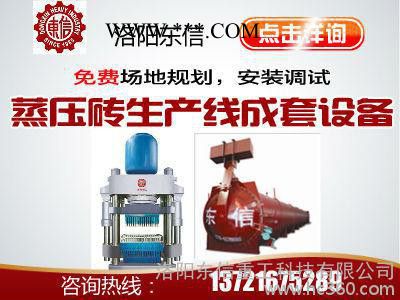 洛陽(yáng)蒸壓粉煤灰標(biāo)磚整套生產(chǎn)線找東信