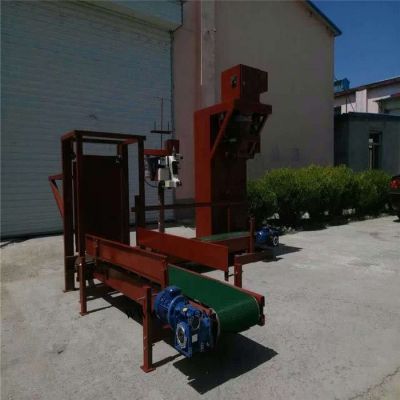 蘭州粉煤灰電腦計量包裝機(jī)自動米磚包裝機(jī)圖片