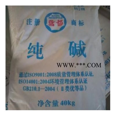 海化工業(yè)級(jí) 純堿 碳酸鈉山東供應(yīng)商