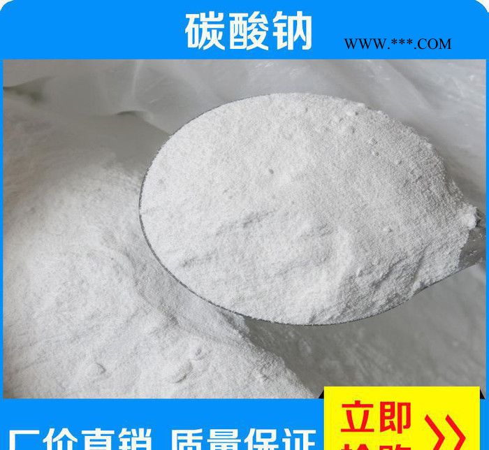 廣東工業(yè)級高純度碳酸鈉 專用無機輕質(zhì)純堿碳酸鈉 直銷