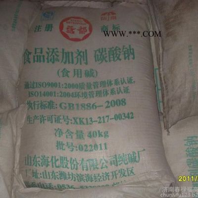 食品級(jí)碳酸鈉 99.2碳酸鈉 廠家碳酸鈉