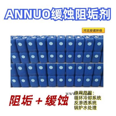 AN0100反滲透膜分散劑濃縮液 水質(zhì)穩(wěn)定劑廠家 反滲透膜抑垢劑
