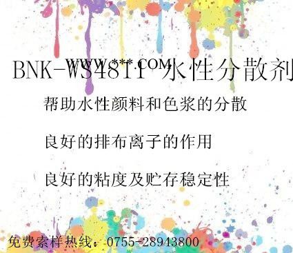 BNK-WS4811 水性分散劑