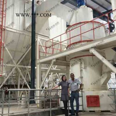 桂林鴻程HC大型擺式磨粉機(jī)石膏、鋁礬土、長石雷蒙磨粉機(jī)