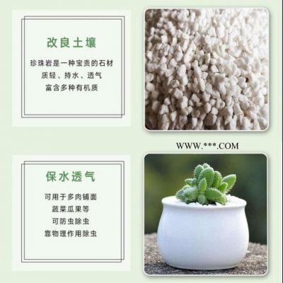 保溫隔熱珍珠巖 抹灰石膏輕質(zhì)骨料 衛(wèi)生間回填珍珠巖