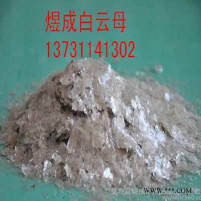 長期涂料級云母粉 焊條專用云母粉 金云母 白云母粉 歡迎選購