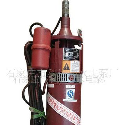 供應(yīng)科達(dá)多種小型單相石墨潛水電泵