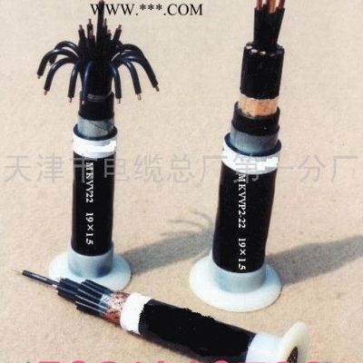 供應(yīng)天聯(lián)Timelion云母帶耐火阻燃控制電纜