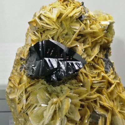 宜居品閣JSY039錫石晶體與海藍(lán)寶及云母共生礦物晶體標(biāo)本 礦標(biāo) 石頭收藏