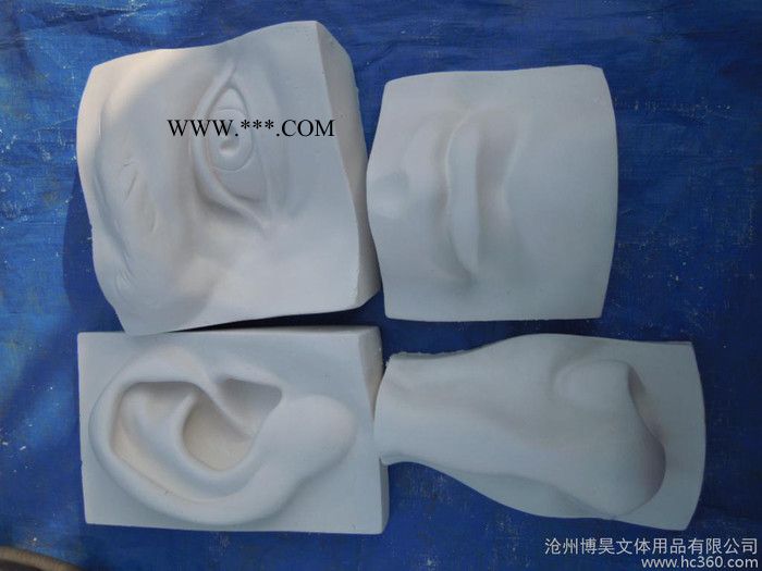 廠家供應(yīng)美術(shù)用品 寫生教具(2)石膏教具人頭像面像手足五官