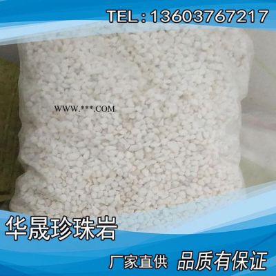 **大粒園藝珍珠巖 種植育苗盆栽  全國送貨