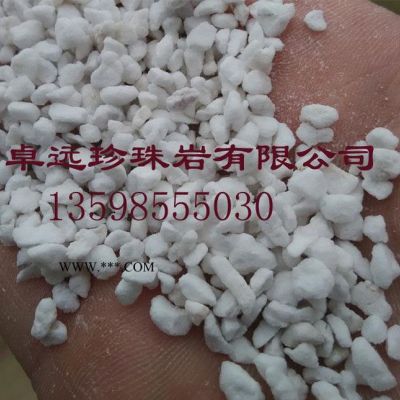 珍珠巖 苑苗木花卉園藝營養(yǎng)土用大顆粒珍珠巖