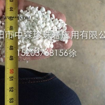信陽(yáng)中森牌園藝專(zhuān)用大顆粒膨脹珍珠巖直徑3-6mm吸水保肥松土