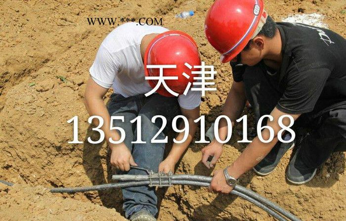 天津柔性石墨接地線 石墨纜接地線 石墨盤根